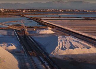 ΟΠΕΚΕΠΕ: Έπαιρναν επιδοτήσεις για… τριφύλλια στις Αλυκές Μεσολογγίου