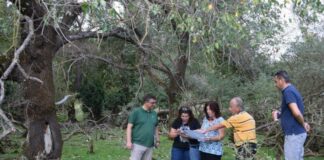 Αυτοψία στον αρχαιολογικό χώρο Φοιτιών από κλιμάκιο της Εφορείας Αρχαιοτήτων