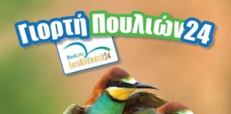 Ευρωπαϊκή γιορτή πουλιών: Εκδήλωση στην Κατοχή από τη Μονάδα Διαχείρισης του ΟΦΥΠΕΚΑ