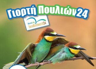 Ευρωπαϊκή γιορτή πουλιών: Εκδήλωση στην Κατοχή από τη Μονάδα Διαχείρισης του ΟΦΥΠΕΚΑ