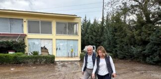 Σταρακά: Πρέπει να θρηνήσουμε θύματα για να διαπιστώσουμε τη γύμνια του κρατικού μηχανισμού;