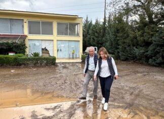 Σταρακά: Πρέπει να θρηνήσουμε θύματα για να διαπιστώσουμε τη γύμνια του κρατικού μηχανισμού;