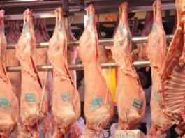 Θα καταστρέφονται οι συκωταριές – Αποζημίωση ζητούν οι κτηνοτρόφοι