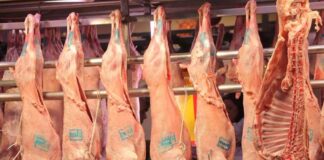 Το νέο ΔΣ του Σωματείου Κρεοπωλών Αγρινίου