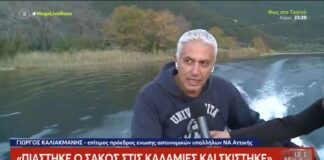 Μήπως τελικά υπάρχει και προσωπικός προανακριτικός υπάλληλος;