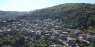 Εκπαιδευτικές επισκέψεις μαθητών στο καστανόδασος του Άνω Κερασόβου