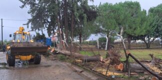 ΔΑΚ Αγρινίου: Από αύριο ανοικτό ξανά για το κοινό