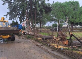 ΔΑΚ Αγρινίου: Από αύριο ανοικτό ξανά για το κοινό