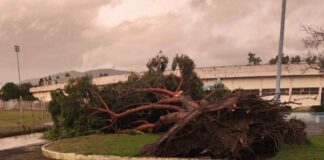 Εκκενώθηκε το ΔΑΚ Αγρινίου – Πτώσεις δένδρων προκάλεσε ανεμοστρόβιλοςΔΦ
