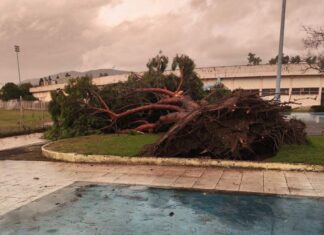 Εκκενώθηκε το ΔΑΚ Αγρινίου – Πτώσεις δένδρων προκάλεσε ανεμοστρόβιλοςΔΦ