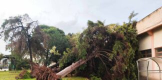 Σε αυξημένη ετοιμότητα ο Δήμος Αγρινίου μετά τον ανεμοστρόβιλο