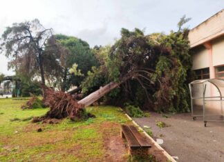 «Γάμος και χαρά» δεν είναι οι ζημιές στο ΔΑΚ Αγρινίου