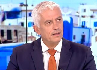 Mega-los μαϊντανός