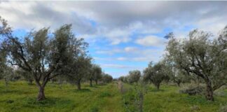 Δυτική Ελλάδα: Συνάντηση για την πιλοτική δράση του ευρωπαϊκού έργου AMBITIOUS