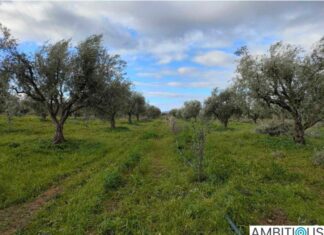 Δυτική Ελλάδα: Συνάντηση για την πιλοτική δράση του ευρωπαϊκού έργου AMBITIOUS