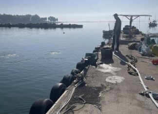 Μεσολόγγι: Ολοκληρώθηκε η επισκευή της πλωτής εξέδρας του αλιευτικού καταφυγίου