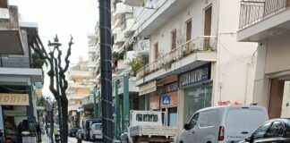 Δ. Τραπεζιώτης: «Έγκλημα με την κοπή των δέντρων στο Αγρίνιο»