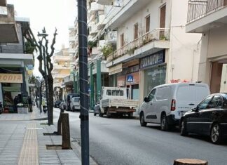 Δ. Τραπεζιώτης: «Έγκλημα με την κοπή των δέντρων στο Αγρίνιο»