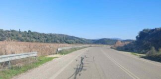 Πέντε συλλήψεις για αυτοσχέδιους αγώνες ταχύτητας στο δρόμο Αστακού – Αιτωλικού