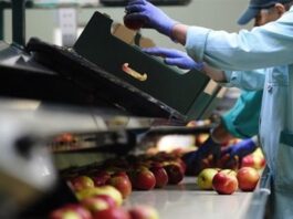 Δυτική Ελλάδα: Έρχονται πάνω από 3.200 έλεγχοι από την Επιθεώρηση Εργασίας