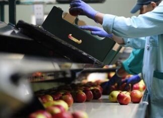 Η μεταποίηση αγωνιά