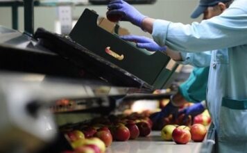 Δυτική Ελλάδα: Έρχονται πάνω από 3.200 έλεγχοι από την Επιθεώρηση Εργασίας