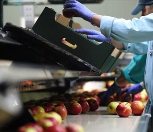 Δυτική Ελλάδα: Έρχονται πάνω από 3.200 έλεγχοι από την Επιθεώρηση Εργασίας