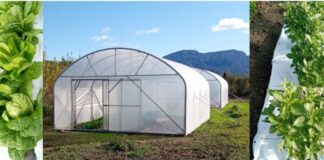 Παράταση στις αιτήσεις για τις επενδύσεις στον εκσυγχρονισμό και την κατασκευή θερμοκηπίων