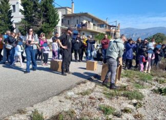 Απελευθέρωσαν πουλιά στη λιμνοθάλασσα Μεσολογγίου – Αιτωλικού