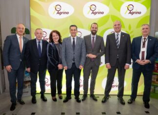 Where are you Kostas? What’s wrong with you?