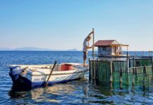 Πάμε να δούμε… τι είναι το ιβάρι;