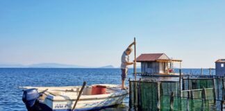 Πάμε να δούμε… τι είναι το ιβάρι;