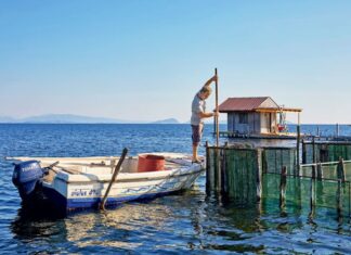 Πάμε να δούμε… τι είναι το ιβάρι;