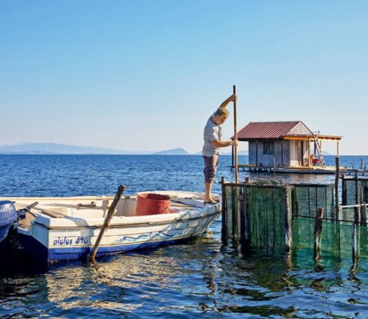 Πρόσκληση για τις αιτήσεις χρηματοδότησης στη Δράση 1.1.2 «Επενδύσεις στα αλιευτικά σκάφη χωρίς αύξηση αλιευτικής ικανότητας»