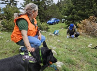 OΦΥΠΕΚΑ: 255 πιθανά δηλητηριασμένα δολώματα και 134 νεκρά ζώα το 2024