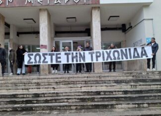 Τους επαγγελματίες της δημοκρατίας μπορούμε άφοβα να τους κατηγορούμε για «κρυφές συναλλαγές»