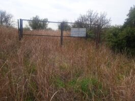 5ου Γυμνάσιο Αγρινίου: Ψήφισμα του 15μελούς για την ανάδειξη του αρχαιολογικού χώρου του αρχαίου Αγρινίου