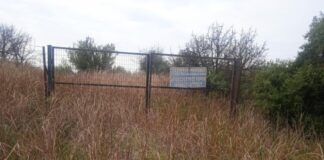 Οι δραματικές διαπιστώσεις της επίσκεψης του 5ου Γυμνασίου στο αρχαίο Αγρίνιο