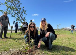 Μεσολόγγι: Με μεγάλη επιτυχία η δενδροφύτευση από το «Όλοι Μαζί Μπορούμε»