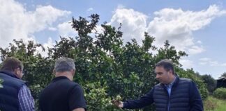 Στους πληγέντες παραγωγούς στη Σταμνά ο Θανάσης Παπαθανάσης