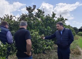 Στους πληγέντες παραγωγούς στη Σταμνά ο Θανάσης Παπαθανάσης