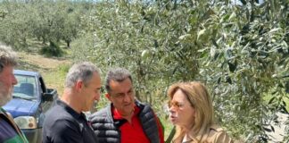 Η Χριστίνα Σταρακά στους πληγέντες από τη χαλαζόπτωση αγρότες στη Σταμνά