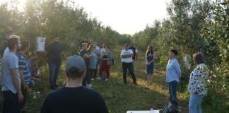 «Έξυπνα Αγροκτήματα Βιολογικής Ελιάς»: Ημερίδα & εκπαιδευτική συνάντηση στο Νεοχώρι Μεσολογγίου