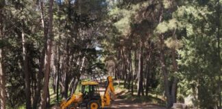 Προληπτικός καθαρισμός στην περιοχή του Αγίου Χριστοφόρου