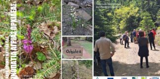 Άνω Χώρα Ναυπακτίας: Ολοκληρώθηκε η περιήγηση στα μονοπάτια της Άγριας Ορχιδέας!