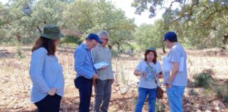 Έργο DRYAD: Με στόχο την ενίσχυση της ανθεκτικότητας του Βελανιδοδάσους Ξηρομέρου