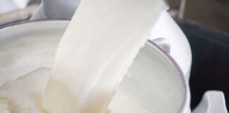 Το Τμήμα Επιστήμης και Τεχνολογίας Τροφίμων «χαρτογραφεί» την ποιότητα του γάλακτος