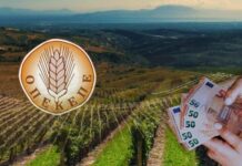 ΟΠΕΚΕΠΕ και ΕΛΤΑ «καταπίνουν» υπουργούς και βουλευτές