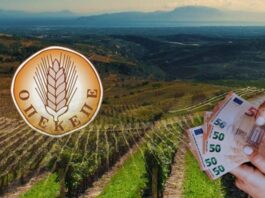 ΟΠΕΚΕΠΕ και ΕΛΤΑ «καταπίνουν» υπουργούς και βουλευτές