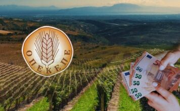 ΟΠΕΚΕΠΕ και ΕΛΤΑ «καταπίνουν» υπουργούς και βουλευτές